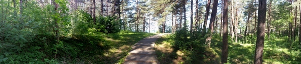 Thumb 20130619 111238