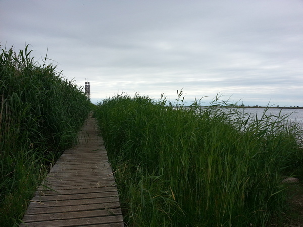 Thumb 20130620 153113