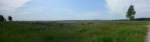 Thumb 20130621 132159