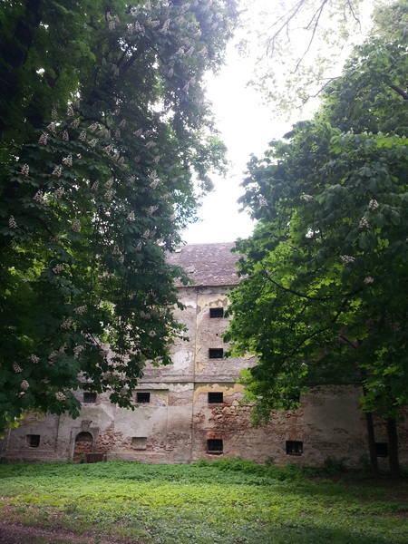 Thumb 20130513 114849