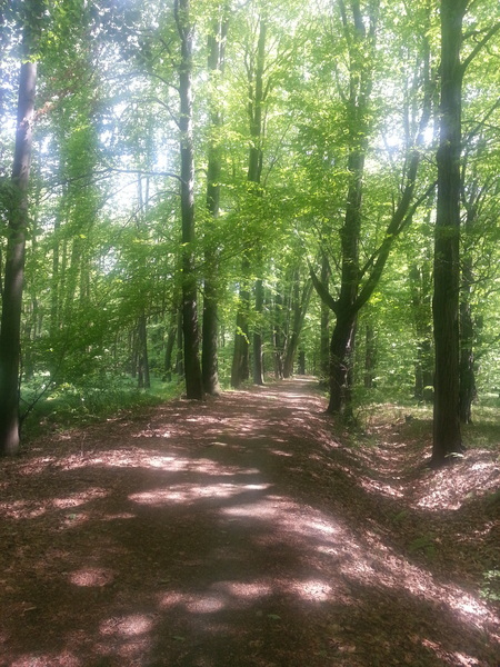 Thumb 20130516 134312