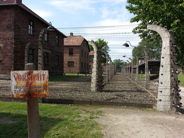 Thumb 20130517 094250