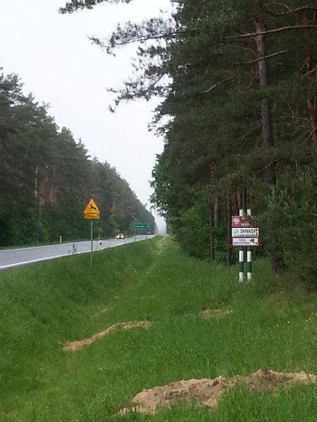 Thumb 20130606 151500