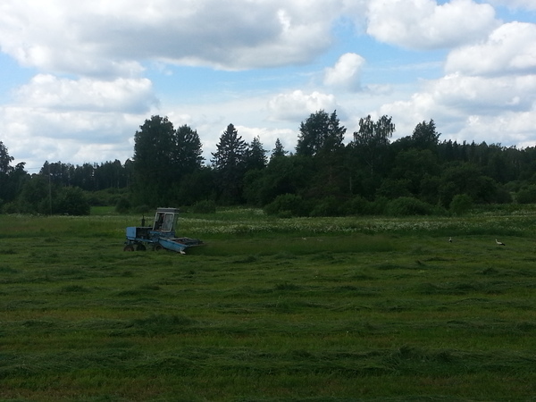 Thumb 20130615 133631 0 